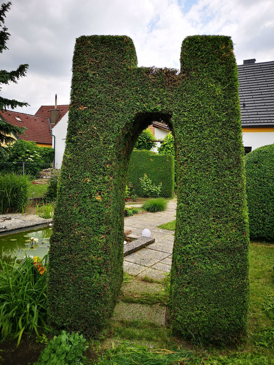 Heckenschnitt von Gartenpflege RIEDL Patrick